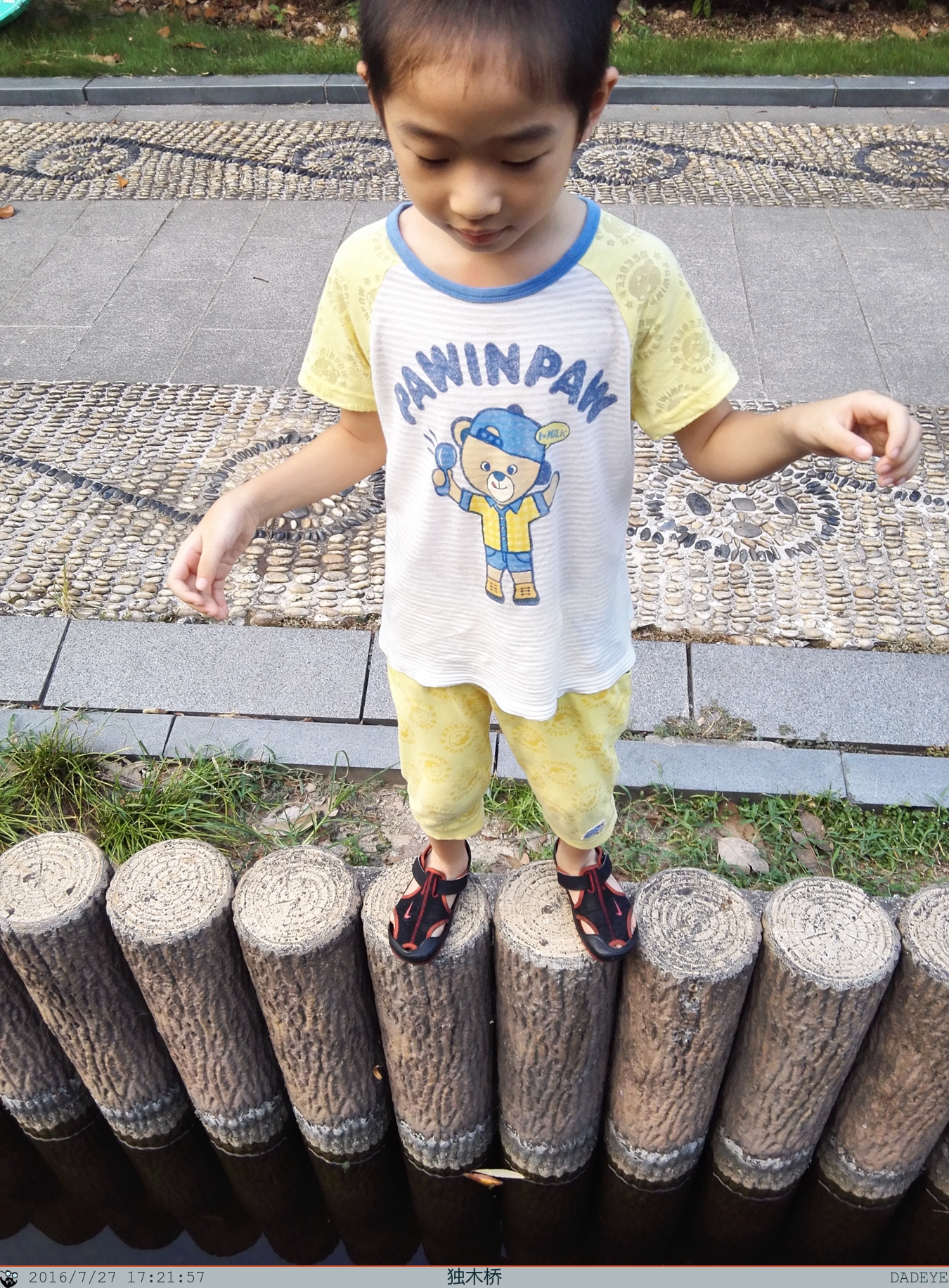 16072701